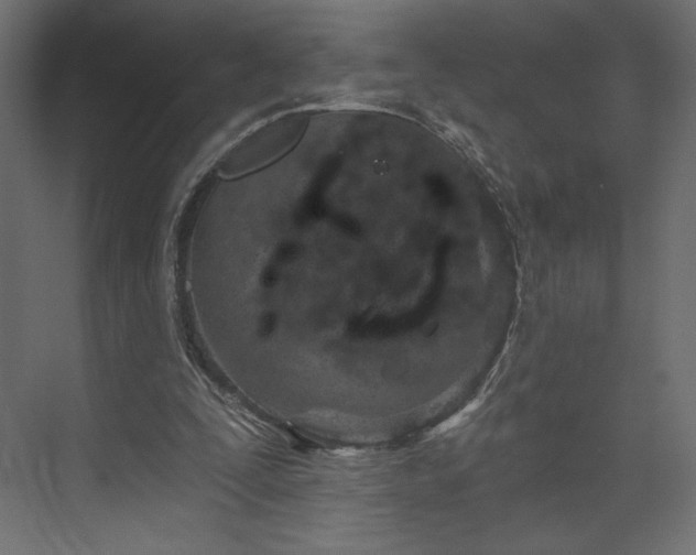 X0000073990295200608281321