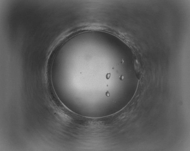 X0000073990296200608281321