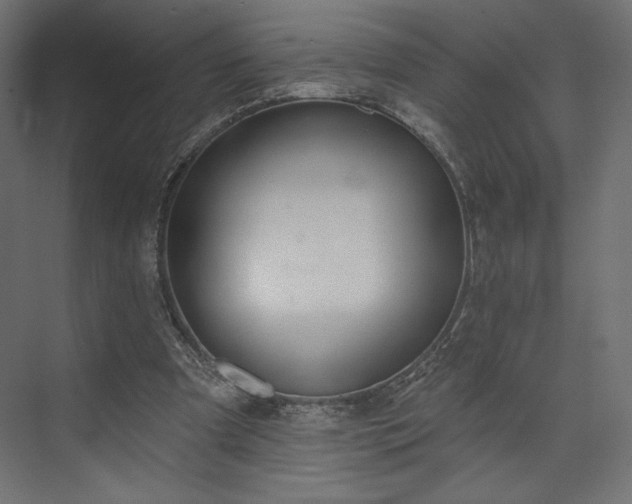 X0000073990297200608281321