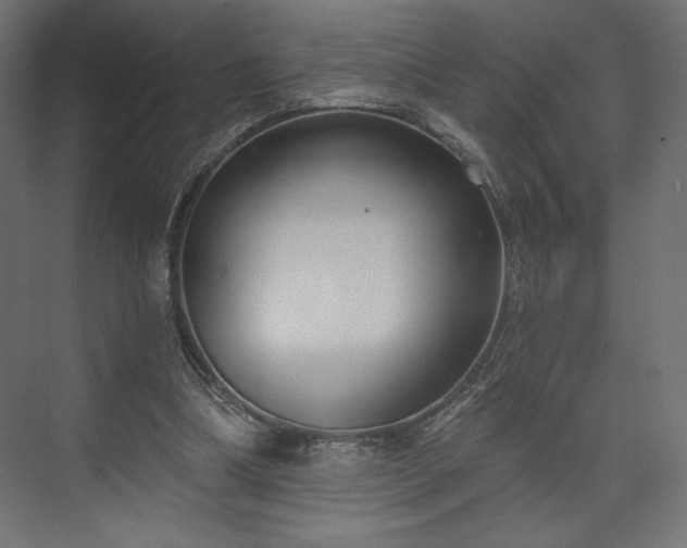 X0000073990298200608281321