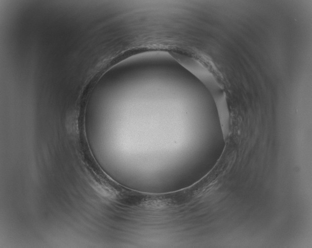 X0000073990299200608281321