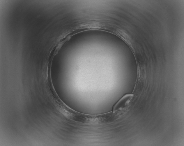 X0000073990301200608281321