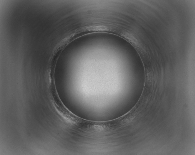 X0000073990302200608281321