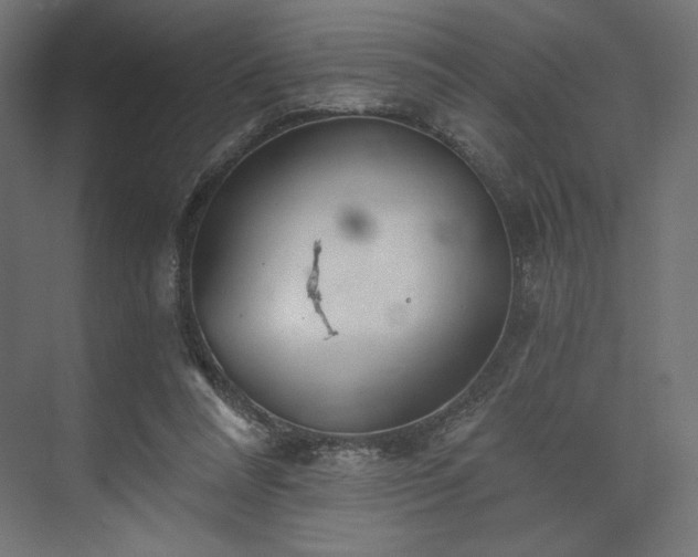 X0000073990304200608281321