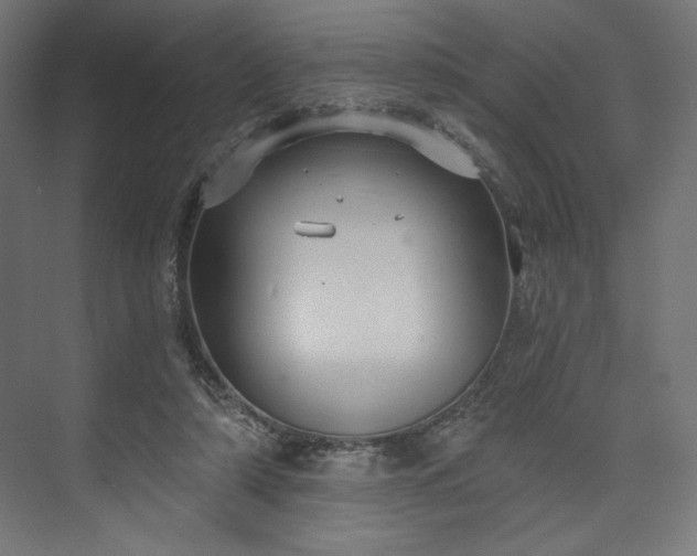 X0000073990306200608281321