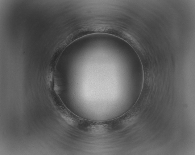 X0000073990307200608281321