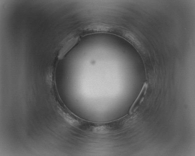 X0000073990309200608281321