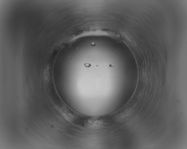 X0000073990311200608281321