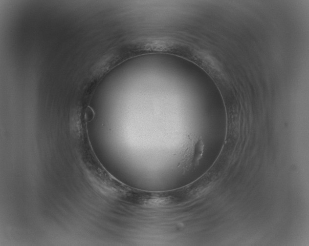 X0000073990312200608281321