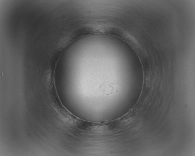 X0000073990314200608281321