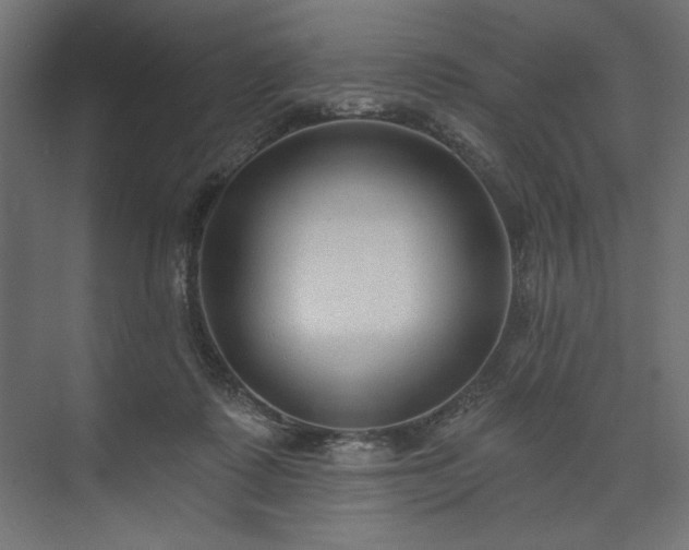 X0000073990315200608281321