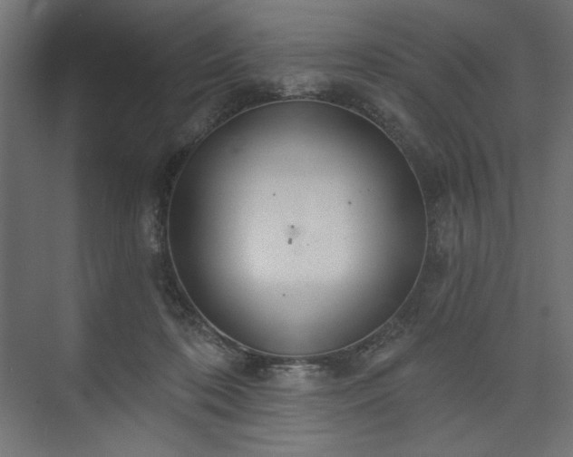 X0000073990316200608281321