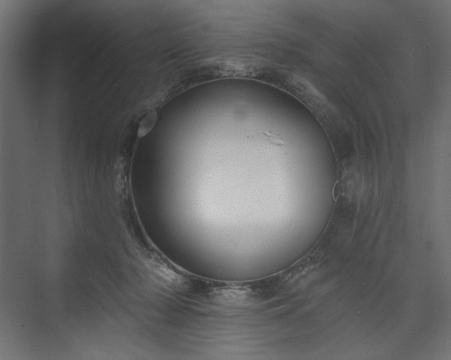 X0000073990318200608281321