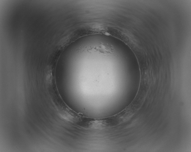 X0000073990320200608281320