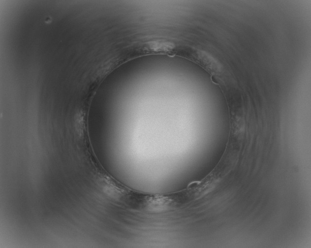 X0000073990321200608281320