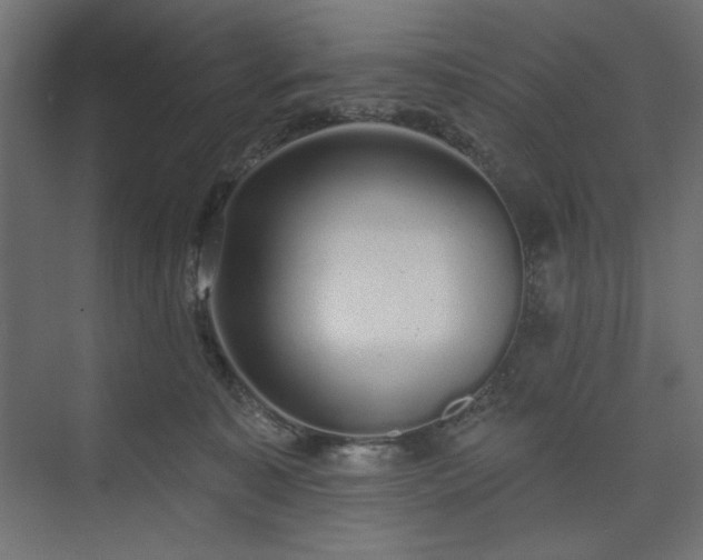 X0000073990323200608281320