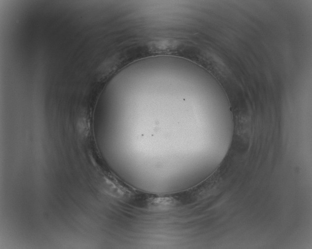 X0000073990324200608281320