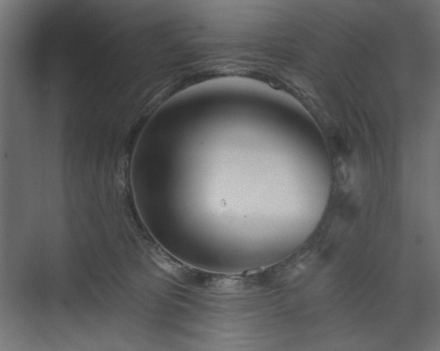 X0000073990325200608281320