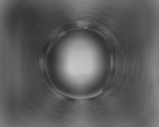 X0000073990329200608281320