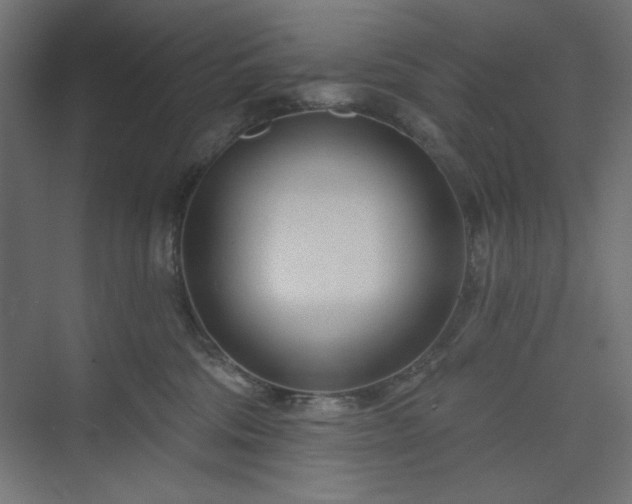 X0000073990330200608281320