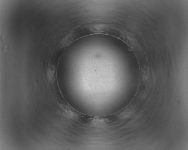 X0000073990332200608281320