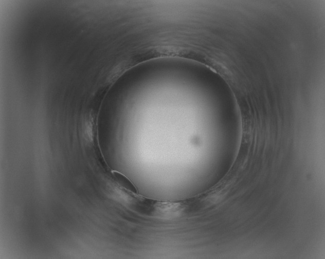 X0000073990334200608281320