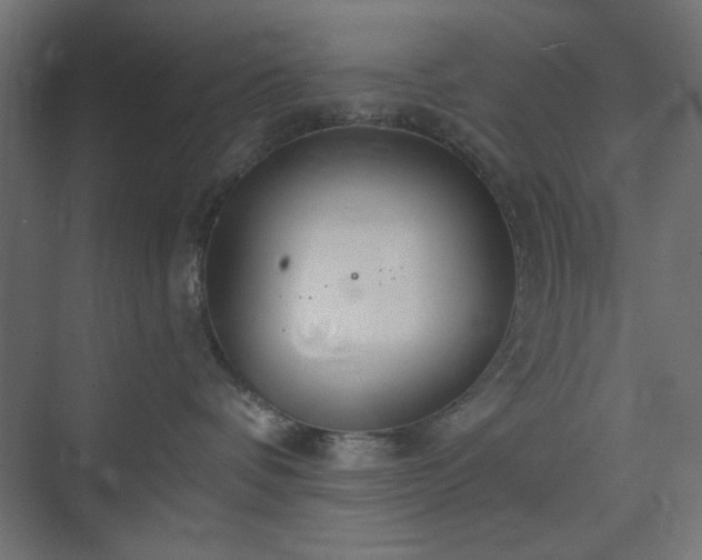 X0000073990336200608281320