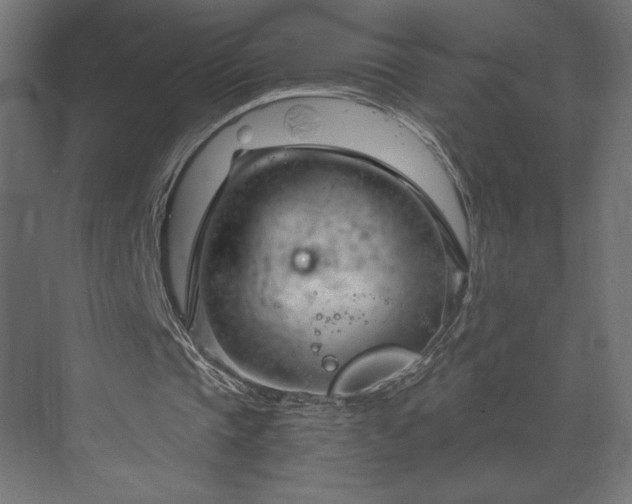 X0000073990337200608281319