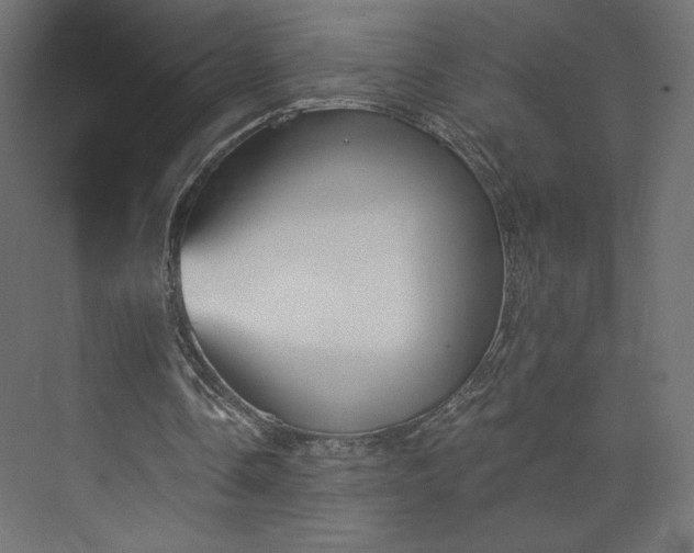 X0000073990338200608281319