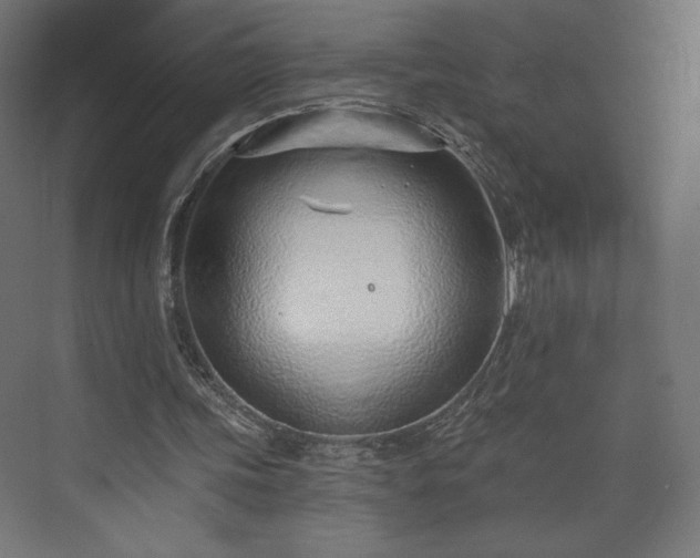 X0000073990339200608281319