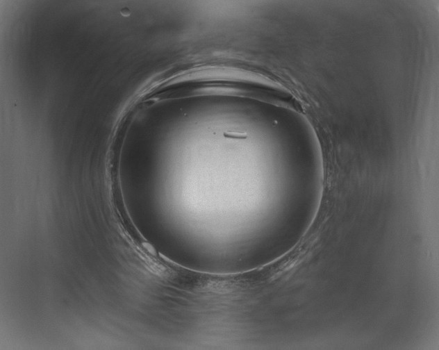 X0000073990341200608281319