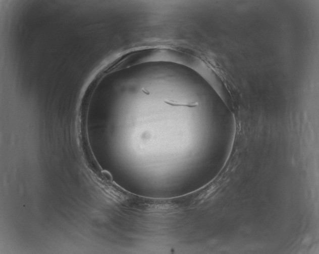 X0000073990342200608281319