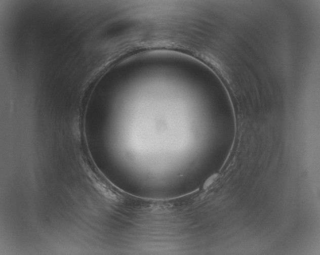 X0000073990345200608281320