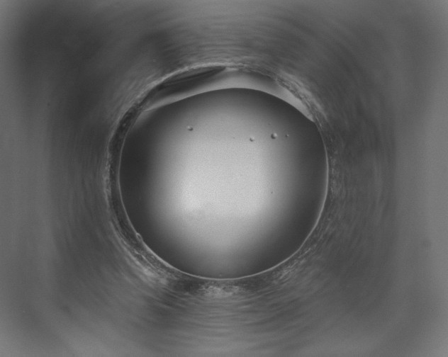 X0000073990346200608281320