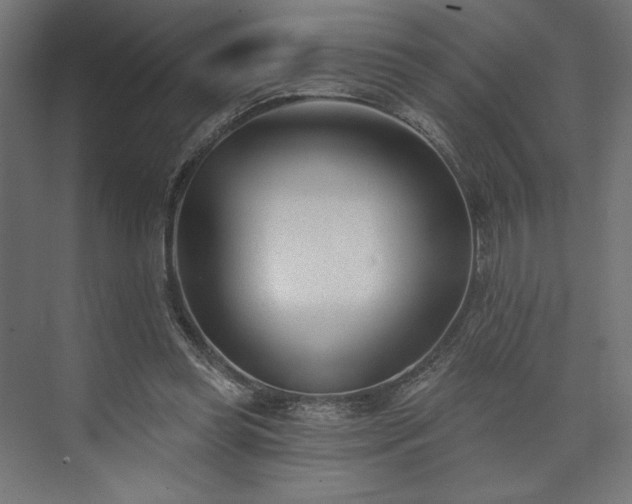 X0000073990349200608281320