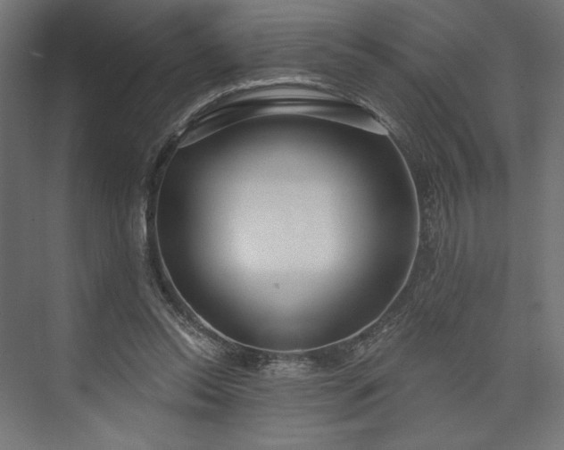 X0000073990350200608281320