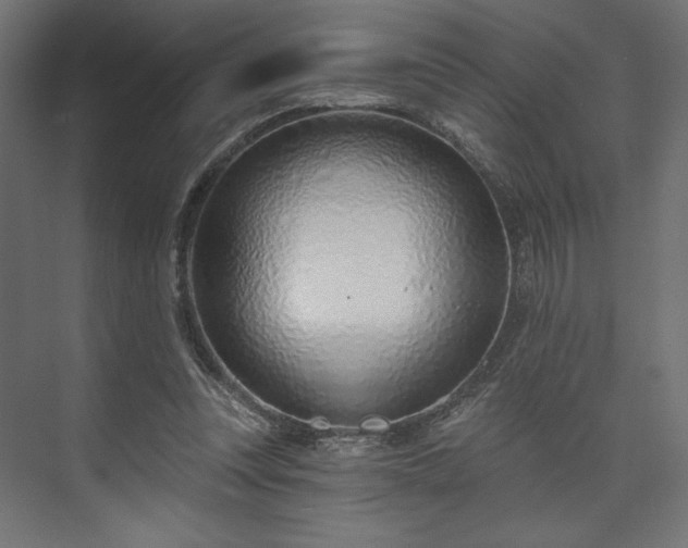 X0000073990351200608281320