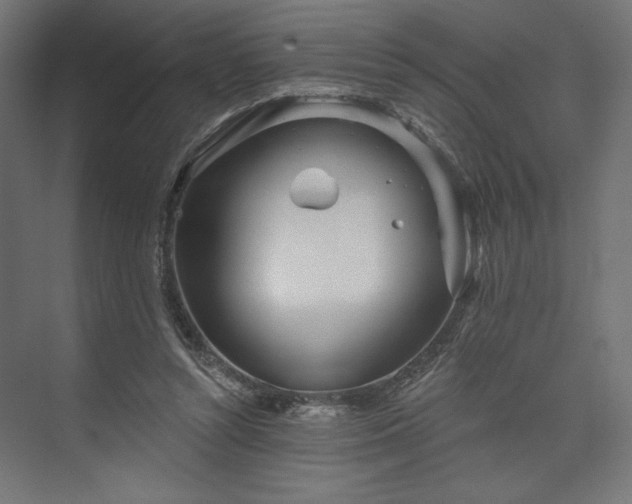 X0000073990352200608281320