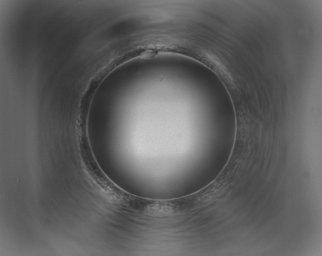 X0000073990354200608281320