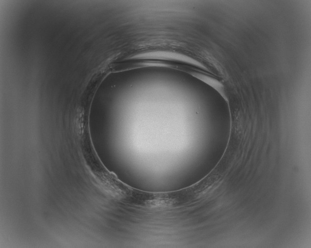 X0000073990356200608281320