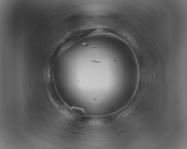 X0000073990358200608281320