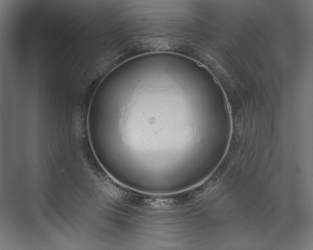 X0000073990359200608281320