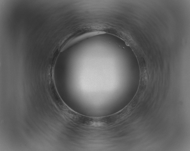 X0000073990360200608281320