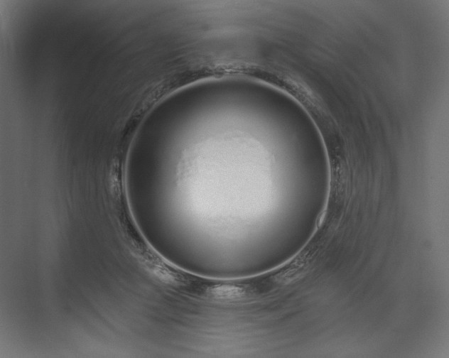 X0000073990361200608281320