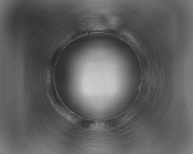 X0000073990362200608281320