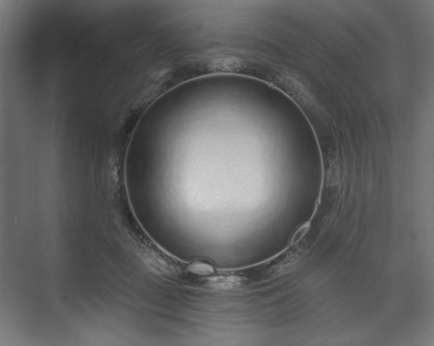 X0000073990363200608281320