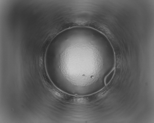 X0000073990365200608281320