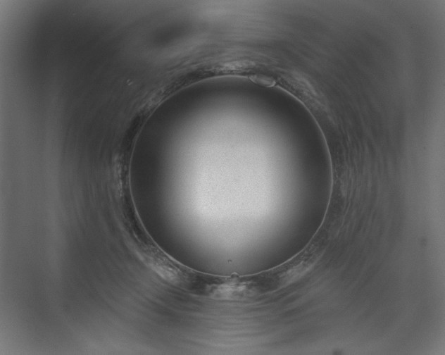 X0000073990366200608281320