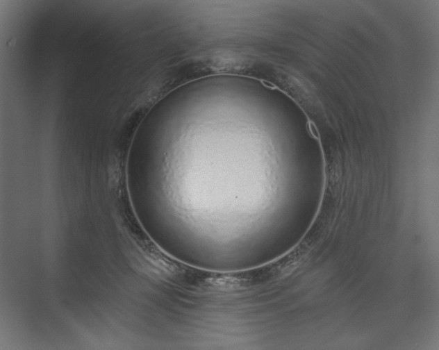 X0000073990367200608281320