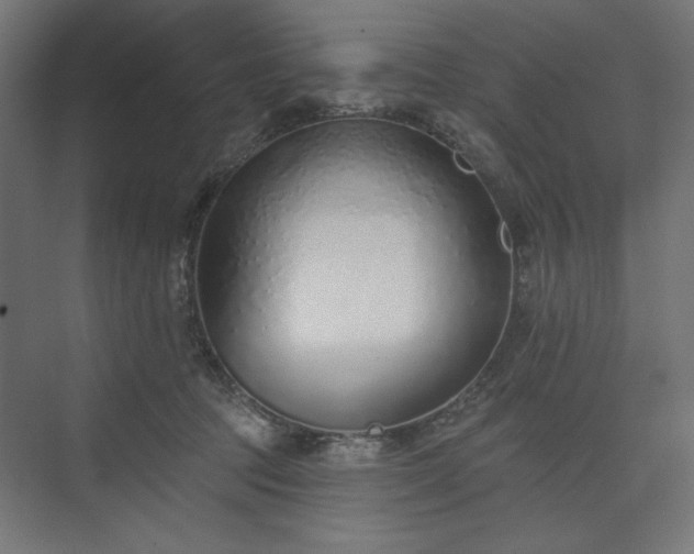 X0000073990369200608281320